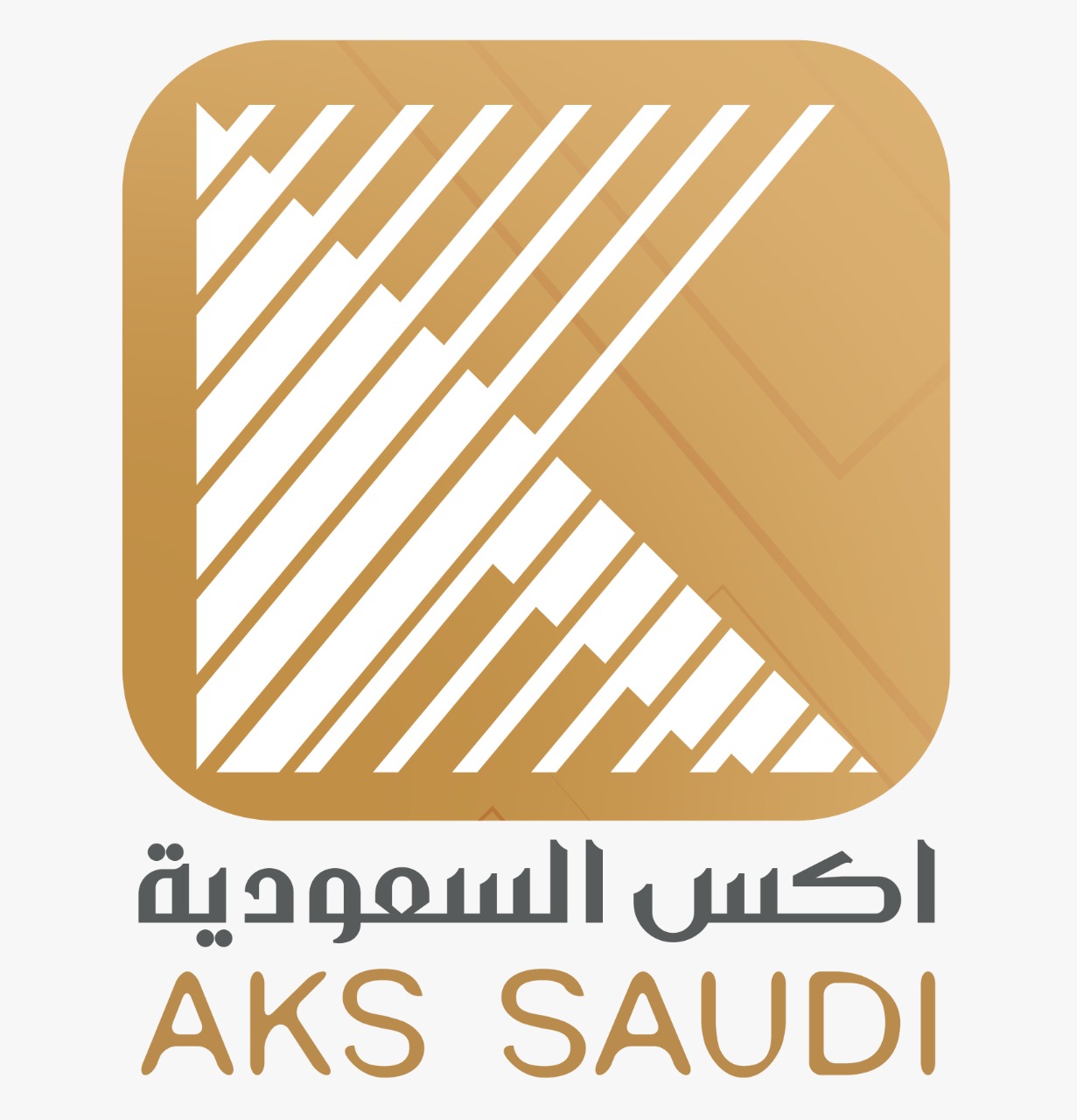 أكس السعودية | AKS SAUDI